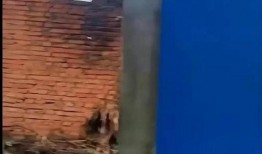 江西失踪男孩爆料最新,案情再起波澜