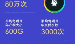 程序员最新爆料,揭秘科技行业不为人知的秘密